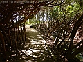 DSC03222