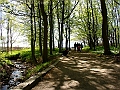 DSC03225