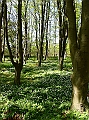 DSC03228