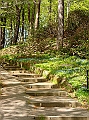 DSC03254