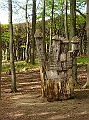 DSC03258