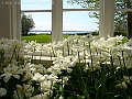 DSC03269