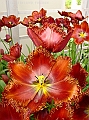 DSC03279