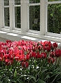 DSC03295