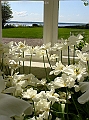 DSC03300