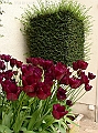 DSC03310