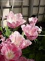 DSC03312