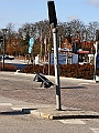 DSC02838