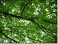 DSCN1311