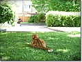 DSCN1313