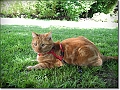 DSCN1316