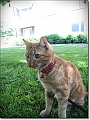 DSCN1320