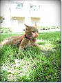 DSCN1325