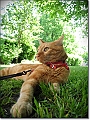 DSCN1332