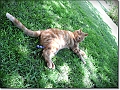 DSCN1335