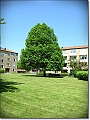 DSCN1338