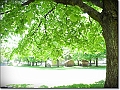 DSCN1349