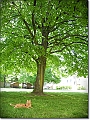 DSCN1355