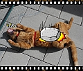 DSCN4044