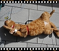 DSCN4045