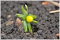 kobjer-2012-02