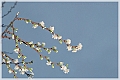 kobjer-2012-04