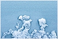 kobjer-2012-16
