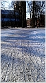 lu2012-21