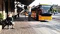 IMAG2711