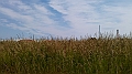 IMAG2722