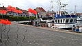 IMAG2760