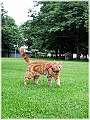 DSCN4563