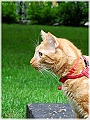 DSCN4569