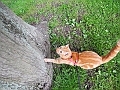 DSCN4571