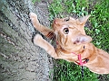 DSCN4574