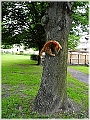 DSCN4578