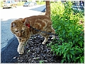DSCN4859