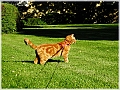 DSCN4867