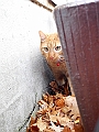 DSCN7871