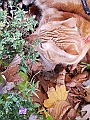 DSCN7876