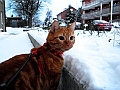DSCN8945