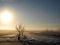 DSCN8868