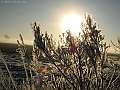 DSCN8871