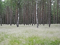 DSCN3569