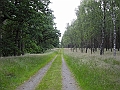DSCN3570