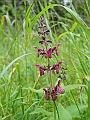 DSCN3579