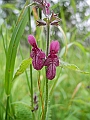 DSCN3581