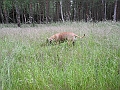 DSCN3587
