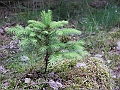 DSCN3600