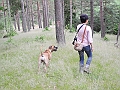 DSCN3602